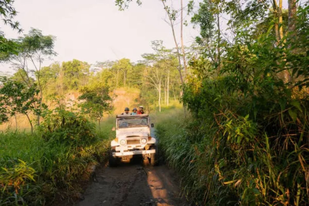 Rathna Travels Mangalore - Affordable Taxi & Travel Services